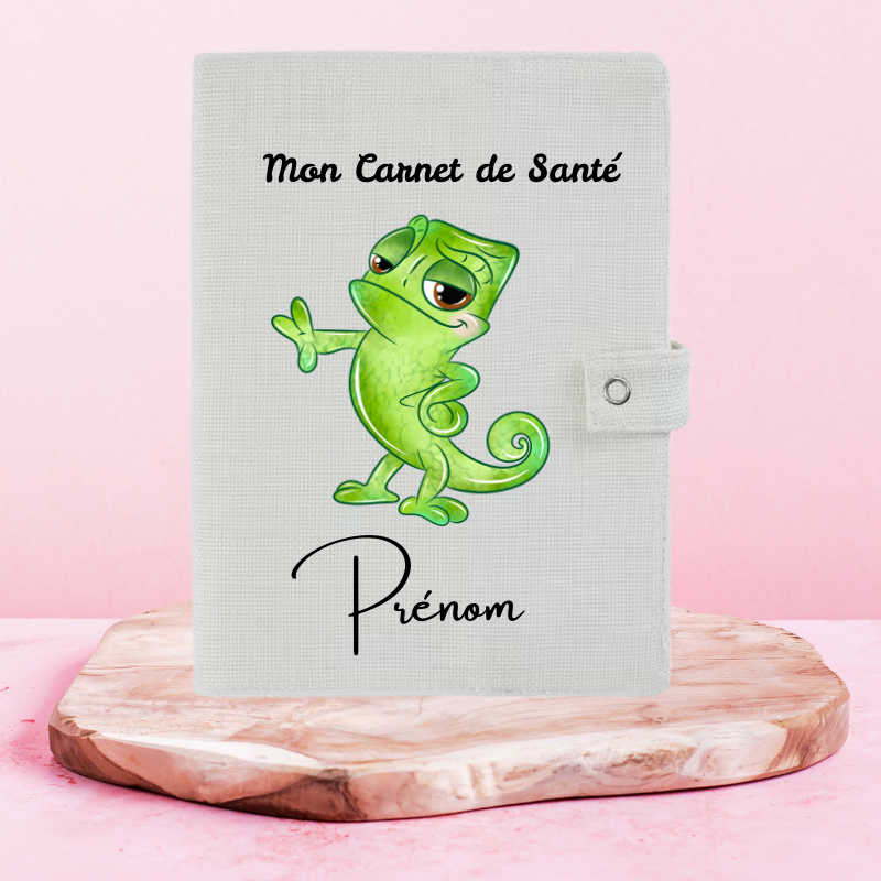 Pascal - Protège Carnet de Santé