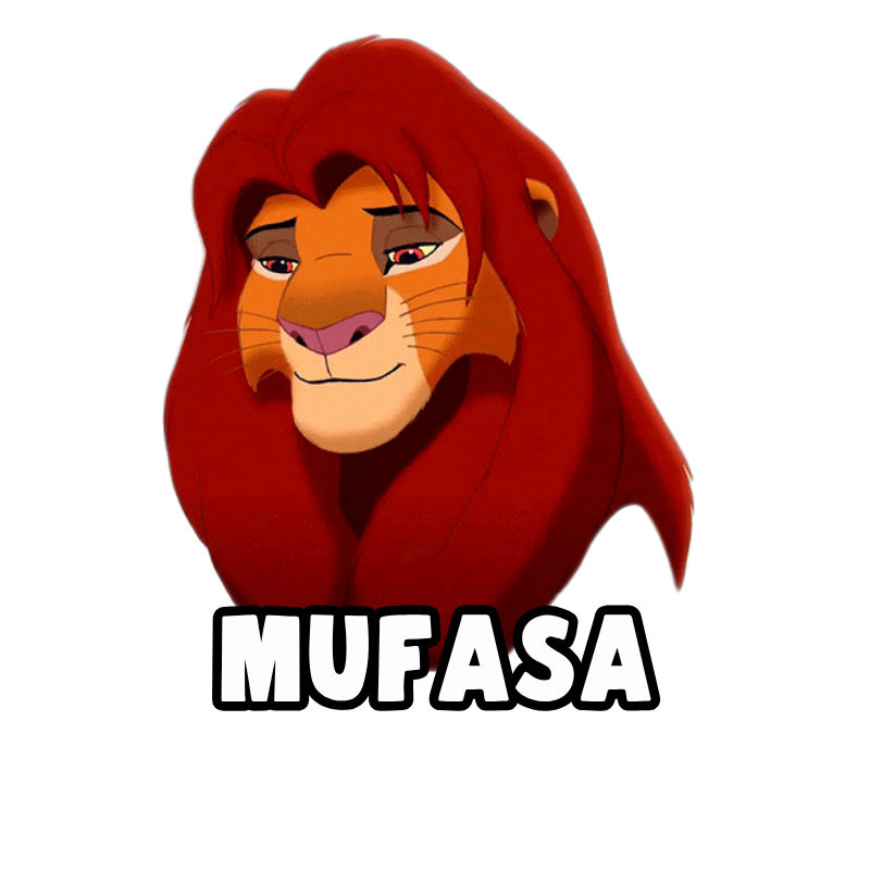 MUFASA