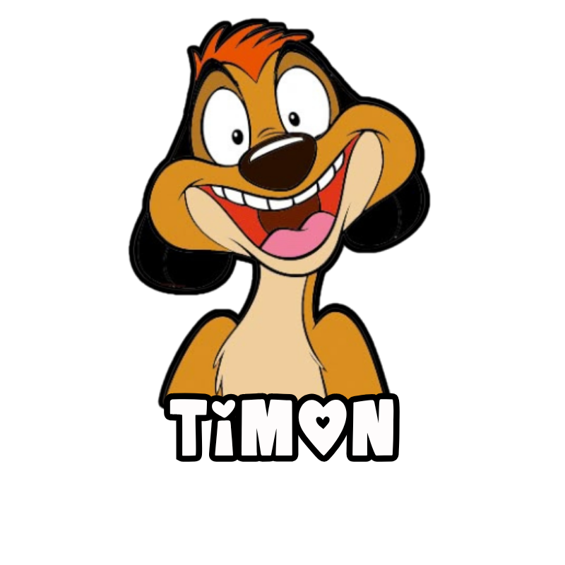 TIMON